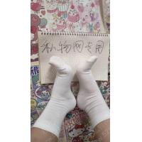 点心白色净版棉短袜